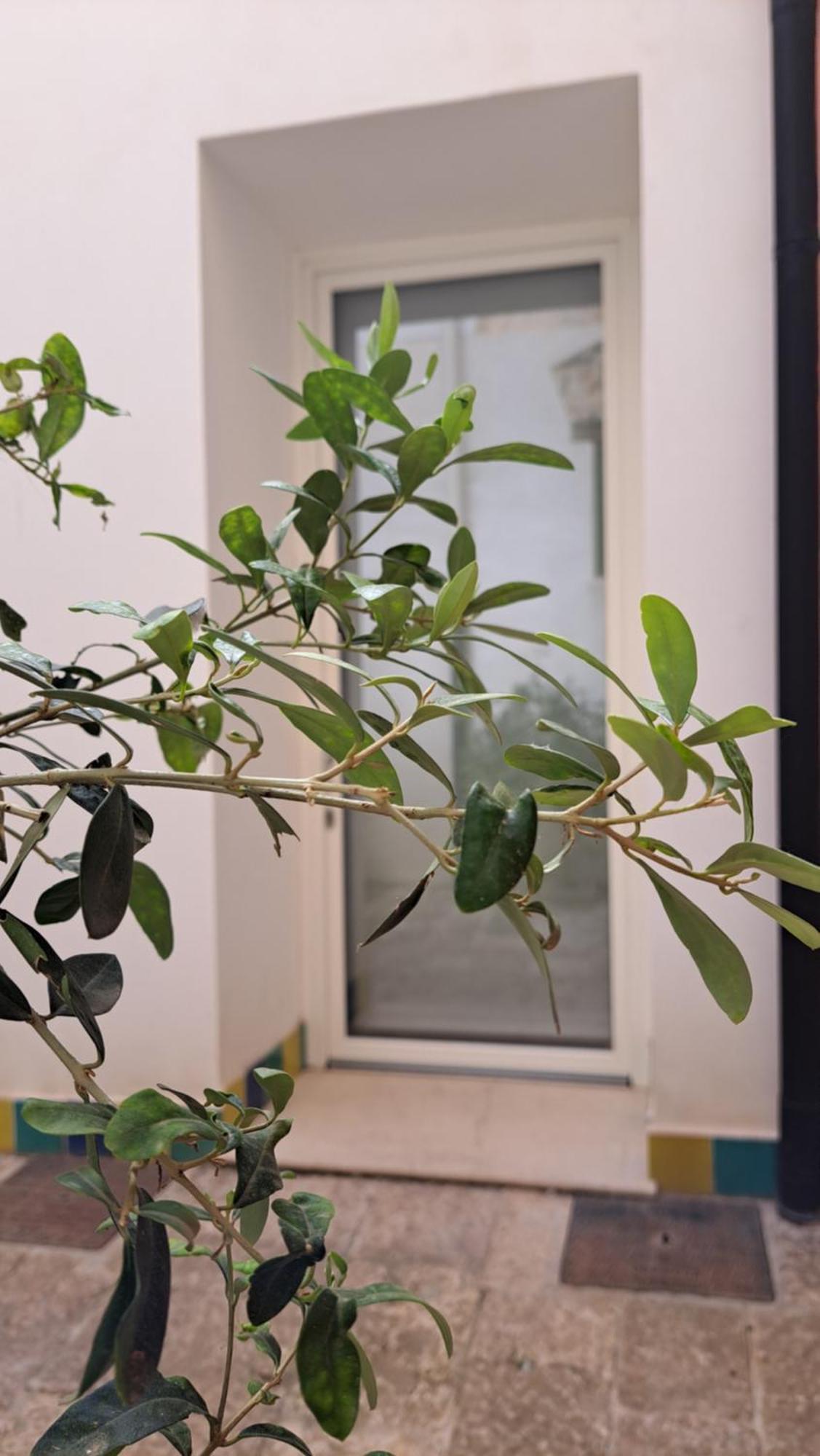 B&B Garibaldi Alcamo Luaran gambar